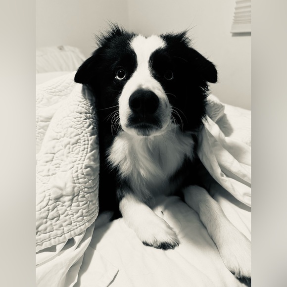 LAREE IS LIVE - FREE LABUBUS AND HUGE DEALS 🤖💕❤️ - Picture 2 of 5